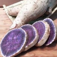 紫番薯KG